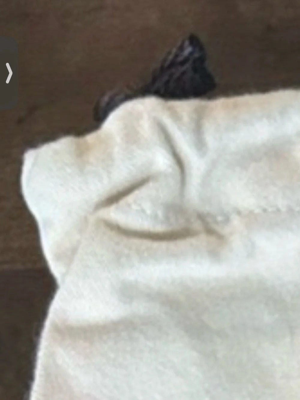 Louis Vuitton Cream Dust Bag with Brown Logo